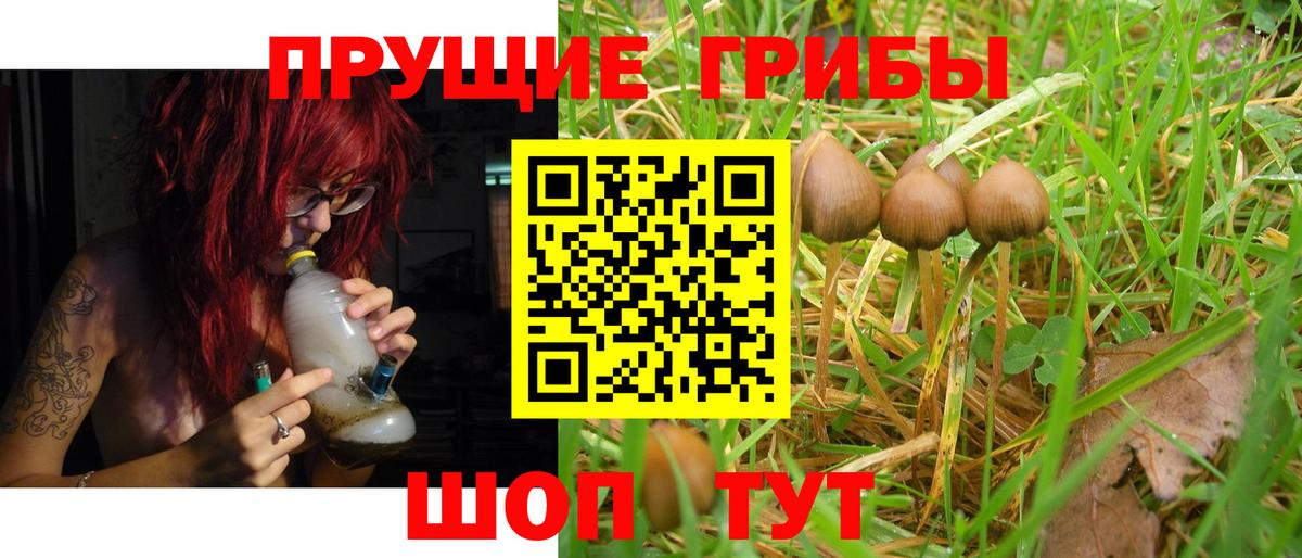 Галлюциногенные грибы Magic Shrooms Химки